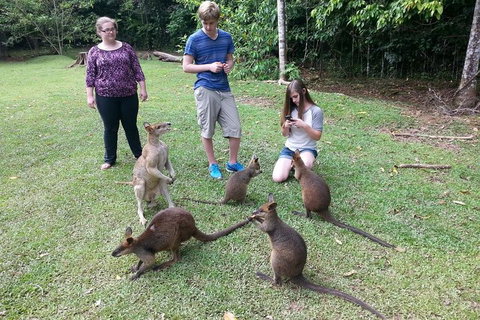 Small Group Blue Mountains Day Tour From Sydney - Restaurants Sydney 2