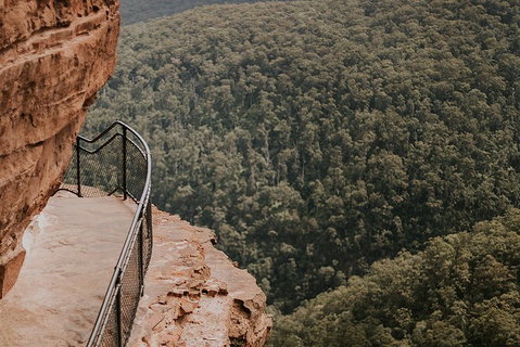 Private Blue Mountains And Wildlife Park Tour From Sydney With Barbecue Lunch - Restaurants Sydney 5