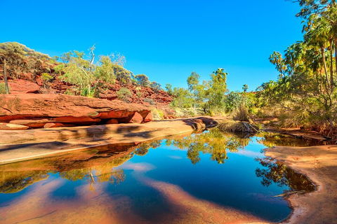 7-Day Guided Tour Of Alice Springs With Accommodation Included - Restaurants Sydney 1