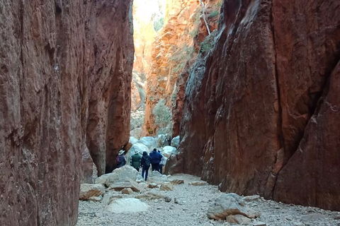 West MacDonnell Private Tour With Transfer - Restaurants Sydney 0
