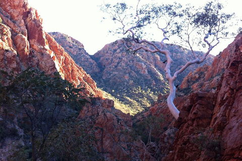 West MacDonnell Private Tour With Transfer - Restaurants Sydney 3