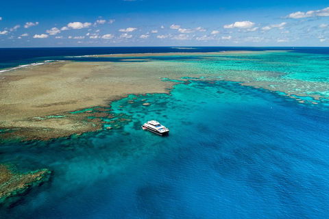 Calypso Outer Great Barrier Reef Cruise From Port Douglas - Restaurants Sydney 1