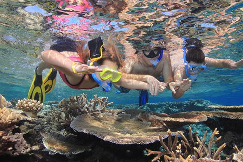 Calypso Outer Great Barrier Reef Cruise From Port Douglas - Restaurants Sydney 3
