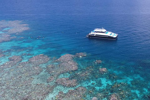 Calypso Outer Great Barrier Reef Cruise From Port Douglas - Restaurants Sydney 4