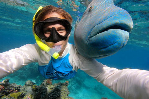 Calypso Outer Great Barrier Reef Cruise From Port Douglas - Restaurants Sydney 5