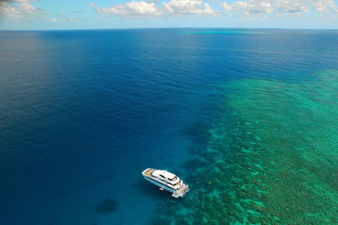 Great Barrier Reef Snorkeling And Diving Cruise From Cairns - Restaurants Sydney 4