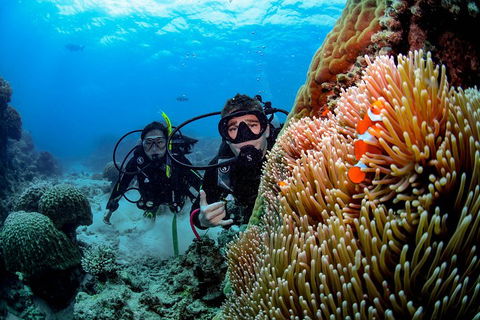 Full Day Reef Cruise Including 10 Minute Heli Scenic Flight: Get High Package - Restaurants Sydney 5