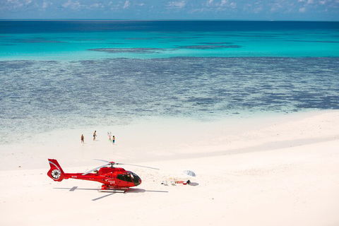 Private Helicopter Tour: Reef Island Snorkeling And Gourmet Picnic Lunch - Restaurants Sydney 2