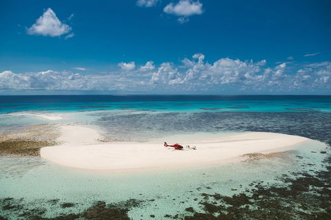 Private Helicopter Tour: Reef Island Snorkeling And Gourmet Picnic Lunch - Restaurants Sydney 4