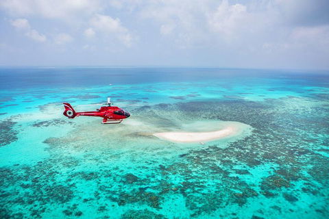 Private Helicopter Tour: Reef Island Snorkeling And Gourmet Picnic Lunch - Restaurants Sydney 5