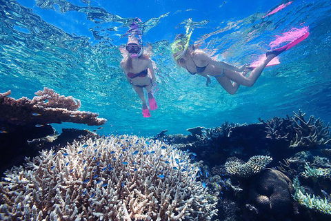 Great Barrier Reef Scenic Helicopter Tour And Cruise From Cairns - Restaurants Sydney 3