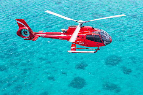 Helicopter And Cruise Packages From Port Douglas - Restaurants Sydney 5
