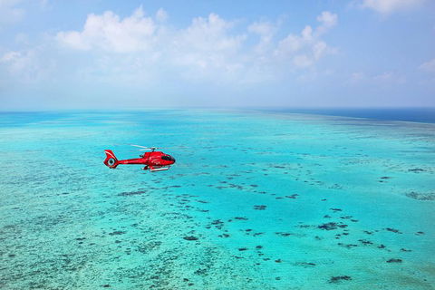 Port Douglas Scenic Flights - Restaurants Sydney 0