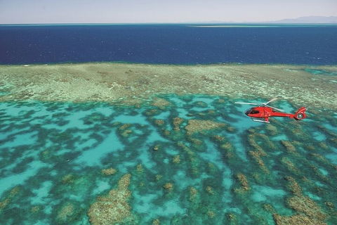 Cruise Out And Cruise Return, Plus 10 Minute Scenic Flight - Restaurants Sydney 4