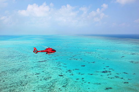 Port Douglas - Cruise And 10 Minute Scenic Flight - Restaurants Sydney 1