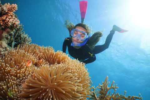 Port Douglas - Cruise And 10 Minute Scenic Flight - Restaurants Sydney 3