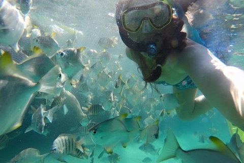 2-Day Moreton Island 4WD Camping Tour From Brisbane - Restaurants Sydney 0