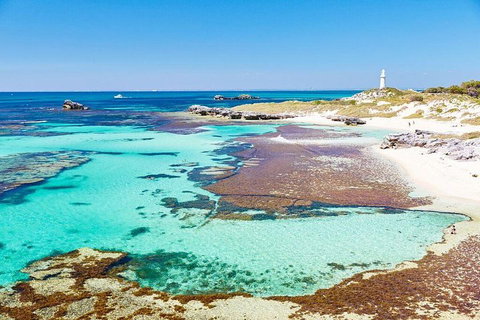 Fremantle To Rottnest Island Roundtrip Ferry Ticket - Restaurants Sydney 2
