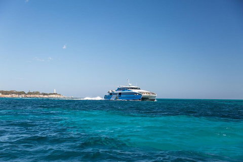 Fremantle To Rottnest Island Roundtrip Ferry Ticket - Restaurants Sydney 5