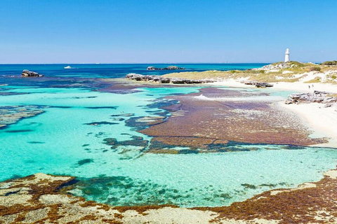 Rottnest Island Bayseeker Day Trip From Perth - Restaurants Sydney 4
