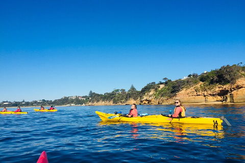 Mornington Peninsula Kayak Coastline Tour Of Dolphin Sanctuary - Restaurants Sydney 1