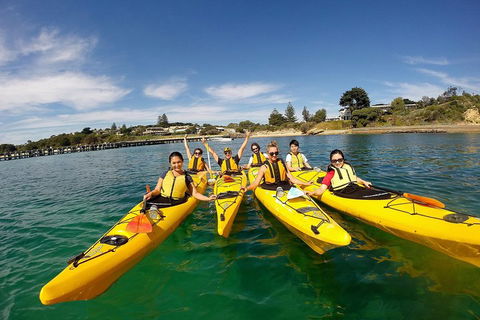 Mornington Peninsula Kayak Coastline Tour Of Dolphin Sanctuary - Restaurants Sydney 2