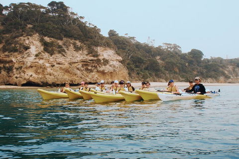 Mornington Peninsula Kayak Coastline Tour Of Dolphin Sanctuary - Restaurants Sydney 4