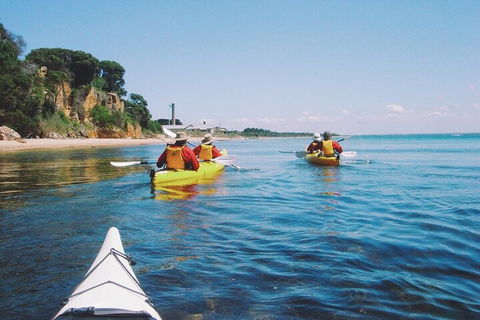 Mornington Peninsula Kayak Coastline Tour Of Dolphin Sanctuary - Restaurants Sydney 5
