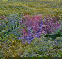 Litchfield Park  Daly River - Scenic Flight From Darwin - Restaurants Sydney