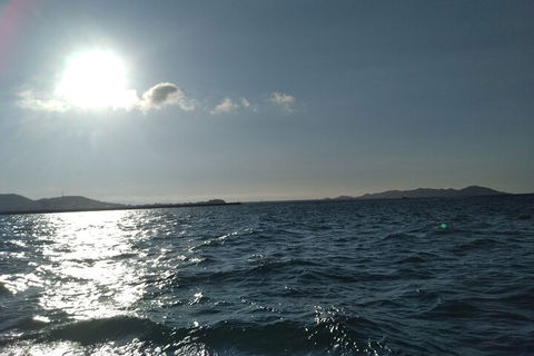 Townsville Small Group Early Morning Sailing Cruise Boat Tour Charter Hire - Restaurants Sydney 4