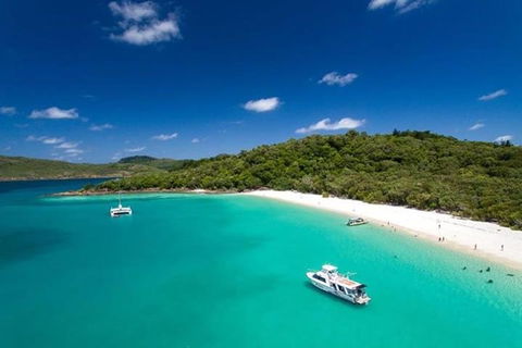 Whitehaven Beach And Hill Inlet | Awesome Beach BBQ | Family Friendly - Restaurants Sydney 3