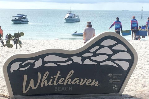 Whitehaven Beach And Hill Inlet | Awesome Beach BBQ | Family Friendly - Restaurants Sydney 5