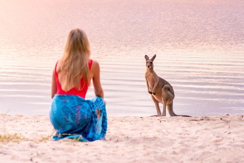 Serenity Cruise To Australia's Everglades - Restaurants Sydney 3