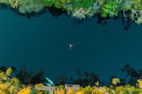 Cruise 'n' Canoe To Australia's Everglades - Restaurants Sydney 2