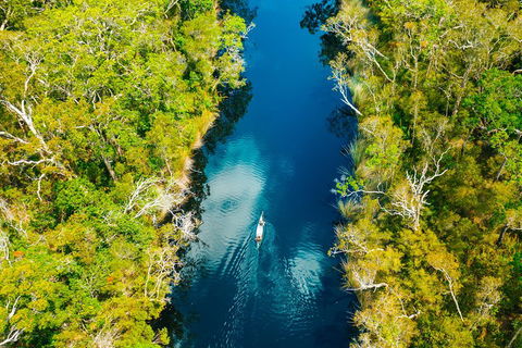 Cruise 'n' Canoe To Australia's Everglades - Restaurants Sydney 4
