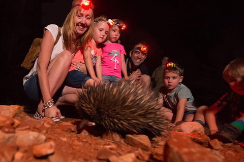 Alice Springs Desert Park Nocturnal Tour - Restaurants Sydney 5