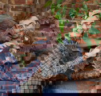 Private Tour Blue Mountains Day Trip from Sydney - Restaurants Sydney