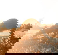 Small Group - 12 Apostles Otways  Great Ocean Road Day Tour from Melbourne - Restaurants Sydney