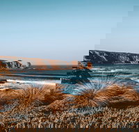 Small Group - Phillip Island Hike  Penguin Parade Day Tour from Melbourne - Restaurants Sydney