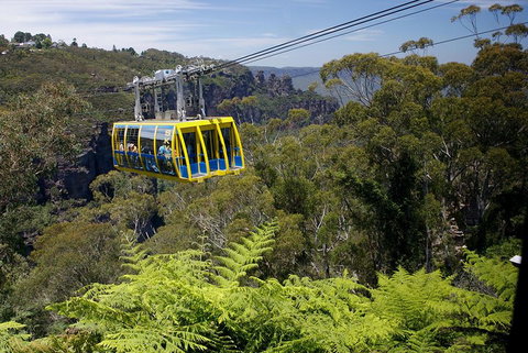 Go City | Sydney Explorer Pass With 20+ Attractions And Tours - Restaurants Sydney 0