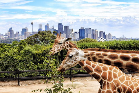 Go City | Sydney Explorer Pass With 20+ Attractions And Tours - Restaurants Sydney 2
