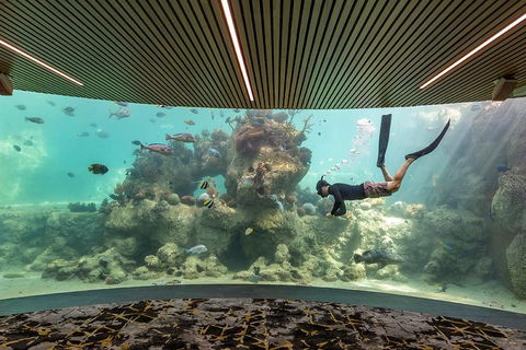 Whitehaven Beach And Daydream Island Cruise - Restaurants Sydney 4