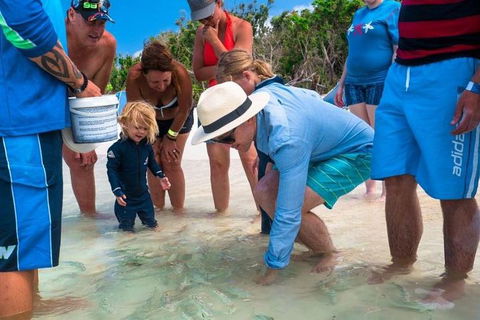 Whitehaven Beach And Hamilton Island Cruise - Restaurants Sydney 1