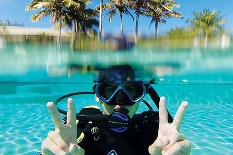 Adventure Moreton Island Scuba Dive Tour - Restaurants Sydney 2