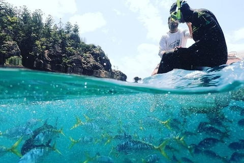 2 Night Small Group Whitsundays Sailing Adventure Aboard Mandrake - Restaurants Sydney 5