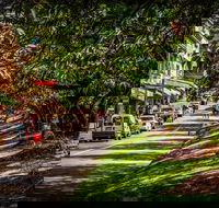 Fully Inclusive Blue Mountains Private Tour inc Scenic World  Featherdale entry - Restaurants Sydney