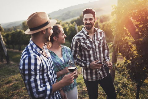 Full Day Mount Tamborine Winery Tour From Gold Coast - Restaurants Sydney 5