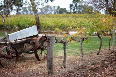 Maggie Beer Farm - Barossa Valley Regional Tour - Restaurants Sydney 1
