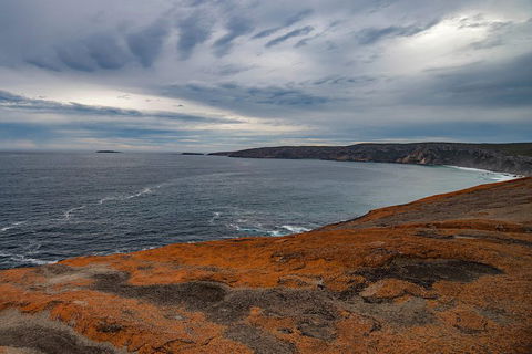 Kangaroo Island Luxury Small Group 'Flinders Chase Focus' Full Day Tour - Restaurants Sydney 0