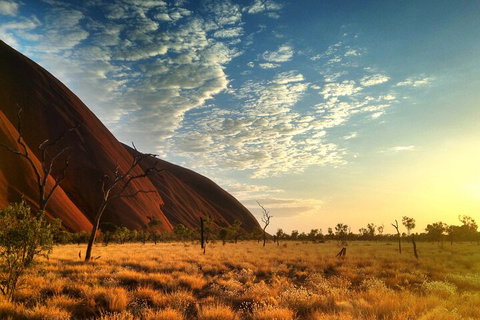 Highlights Of Uluru Including Sunrise And Breakfast - Restaurants Sydney 0
